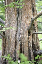 《英雄传说：界之轨迹》中文官网上线 2024年年内发售